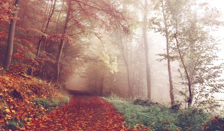 autunno