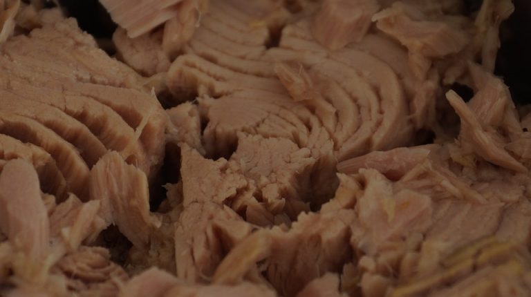 tonno in scatola