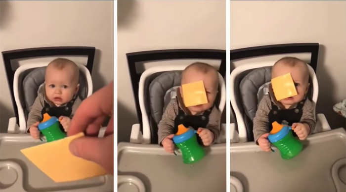 cheese challenge