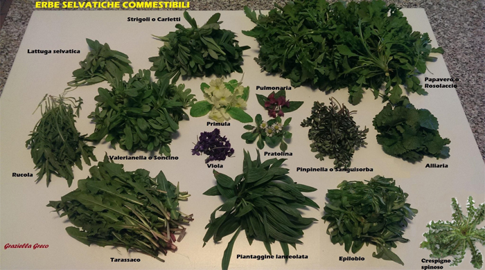 Erbe e fiori selvatici in cucina: ecco come riconoscerli e prepararli