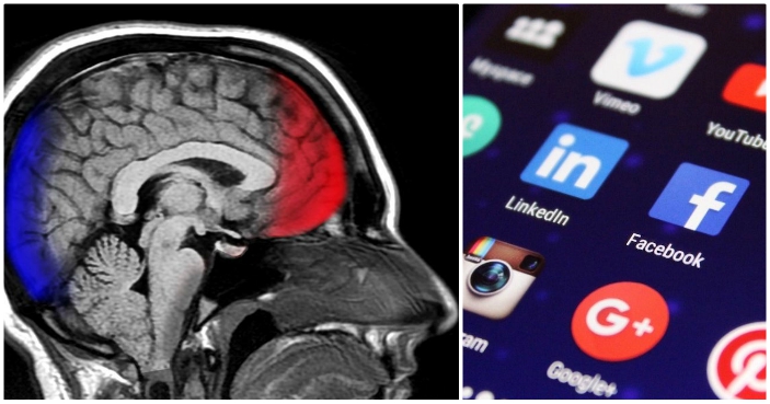 social network
