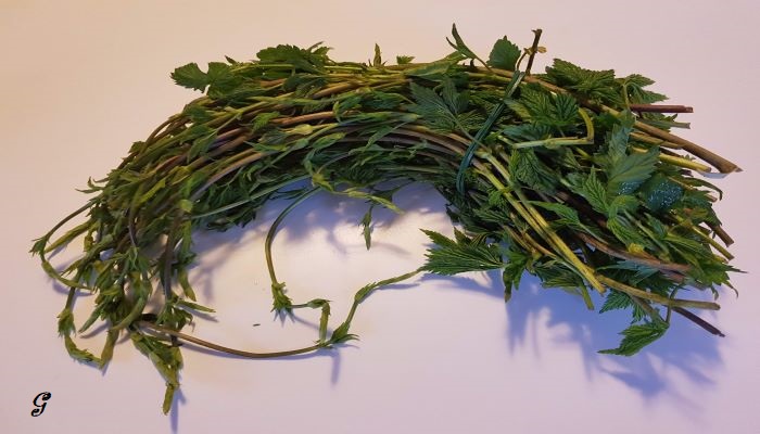 bruscandoli