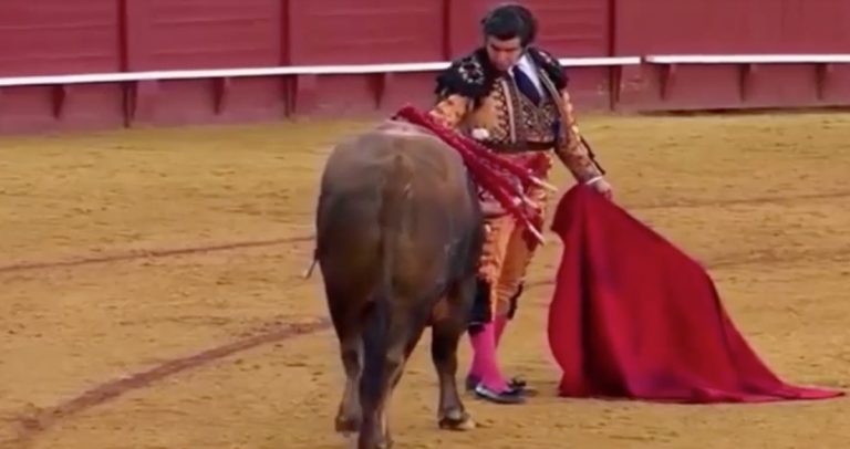 torero