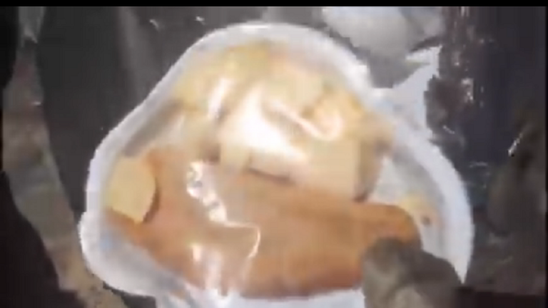 cibo buttato