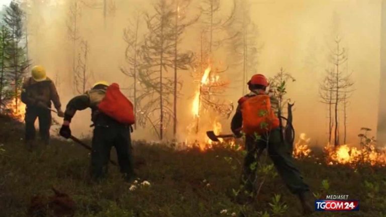 incendi in siberia