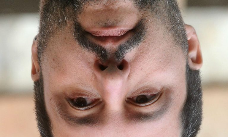 odio buonista