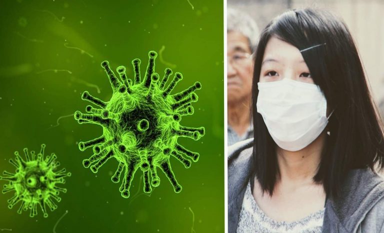virus cinese
