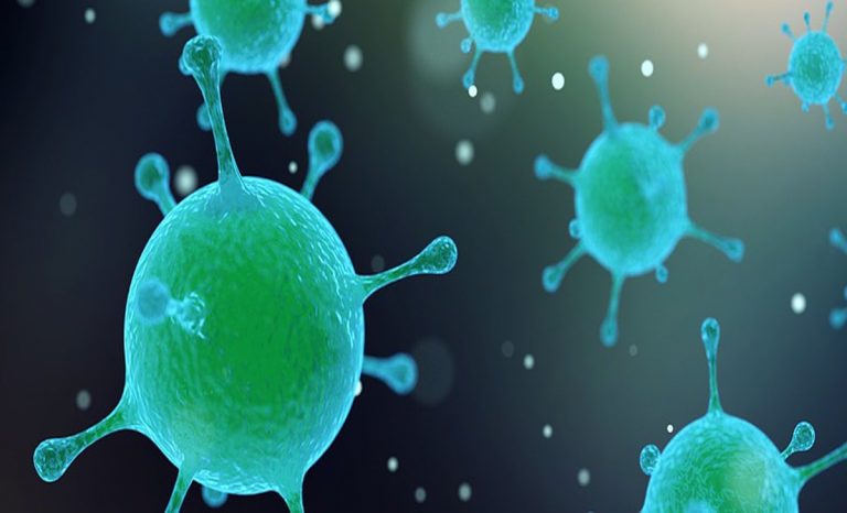 virus cinese