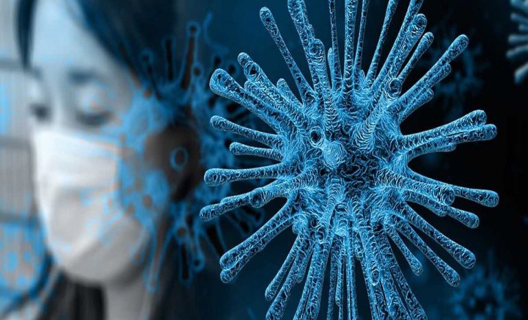 coronavirus e influenza aviaria