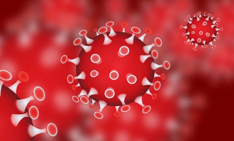 coronavirus e clima