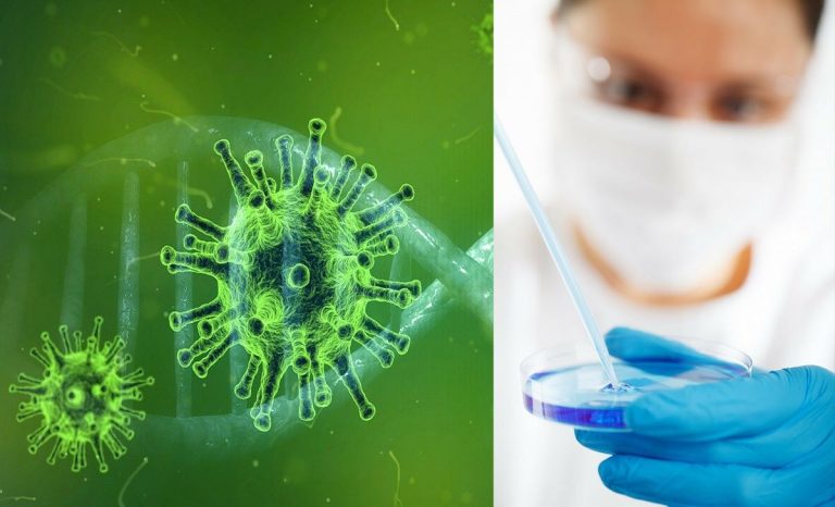 mutazione del coronavirus