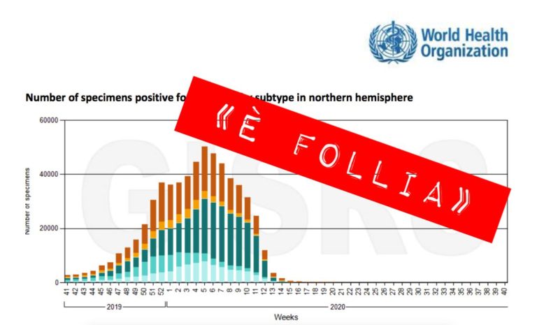 influenza stagionale grafico oms