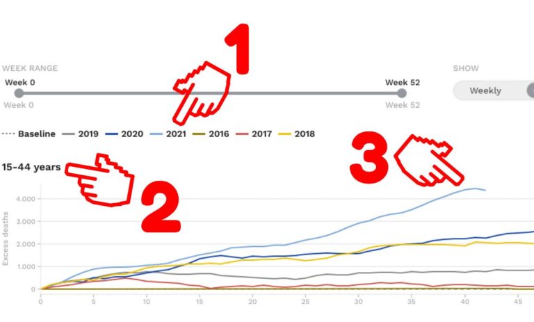 Eccesso di mortalità: dato ufficiale 2021 mostra aumento senza precedenti