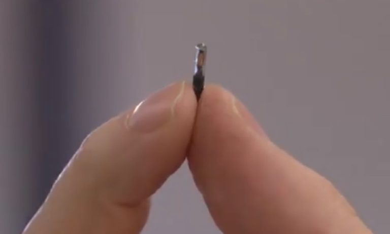 microchip